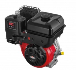 Briggs&Stratton IC 10.0